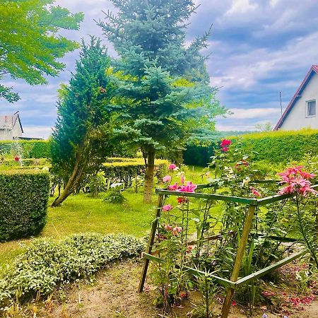 Agroturystyka Szerokopas Nidzica Exterior foto